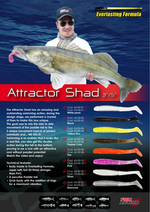 Attractor Shad 3" / 5"  by Fish Action