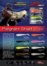 Laden Sie das Bild in den Galerie-Viewer, Pregnant Shad 5" / 6,5" by Fish Action