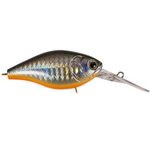 Laden Sie das Bild in den Galerie-Viewer, Cranky X 6cm by BFT