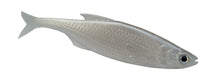 Laden Sie das Bild in den Galerie-Viewer, Real Roach 3D 4.5" by Fish Action