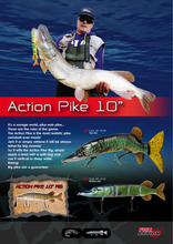 Laden Sie das Bild in den Galerie-Viewer, Action Pike by Fish Action
